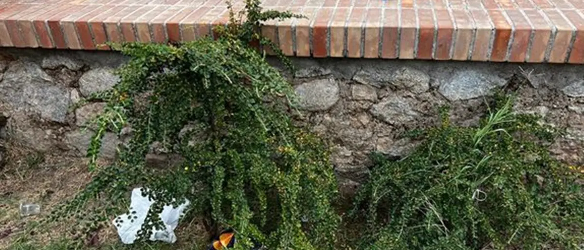 Dasà, il Polifunzionale preso d’assalto nelle ore notturne: monito del sindaco