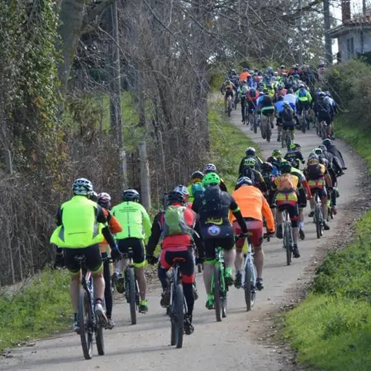 380 ciclo-escursionisti tra le bellezze del Monte Poro, successo annunciato per “Onda d’urto” (VIDEO)