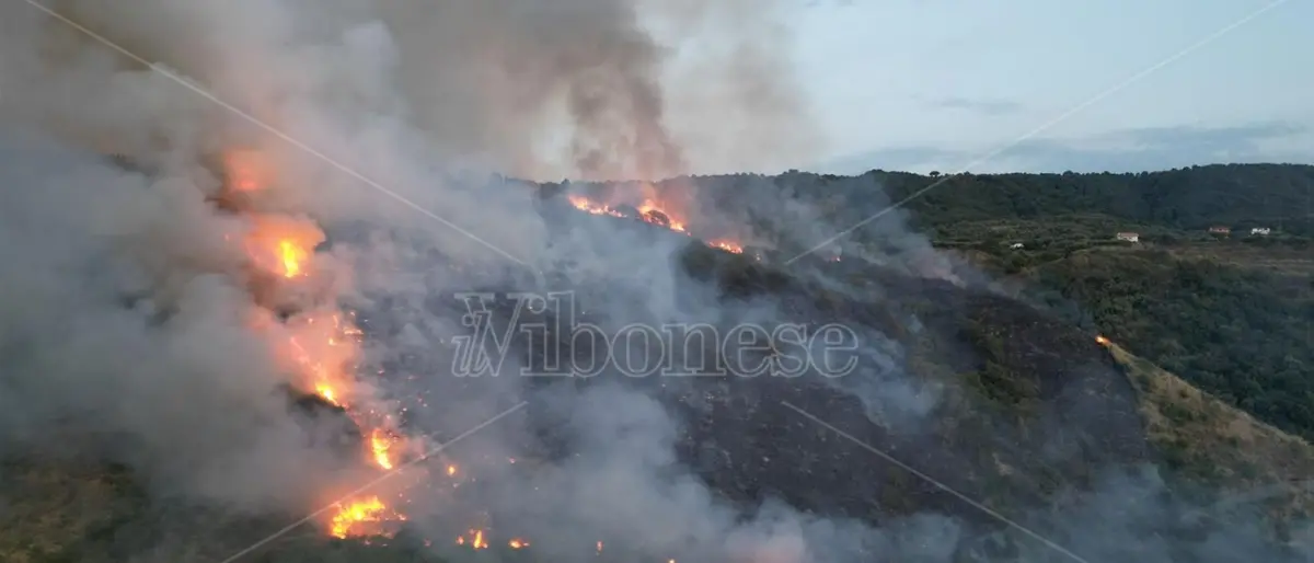In fiamme la collina che sovrasta Parghelia, Zambrone e Sant'Angelo