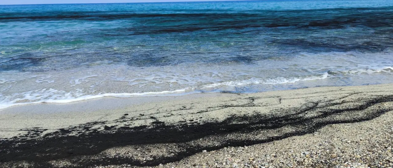 Inquietanti macchie nere in mare a Vibo Marina, il biologo Greco: «Provocate dagli incendi» -Video