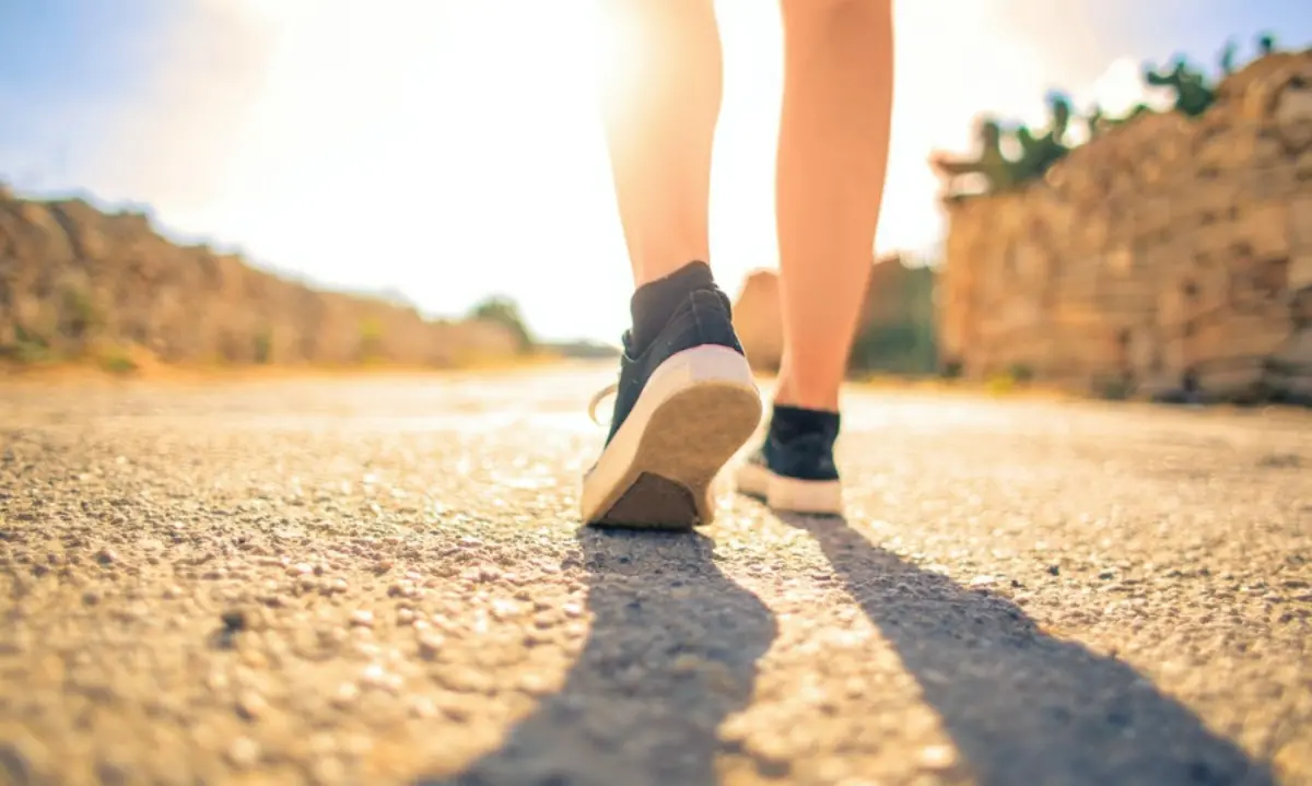 Turisti sotto il sole rovente di Pizzo in attesa del bus, Paolillo (Wwf): «Servono alberi»