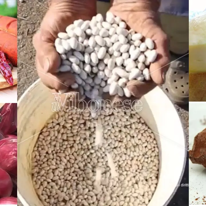 Dalla ‘nduja di Spilinga alla “sujaca” di Caria: viaggio nei prodotti simbolo del Vibonese