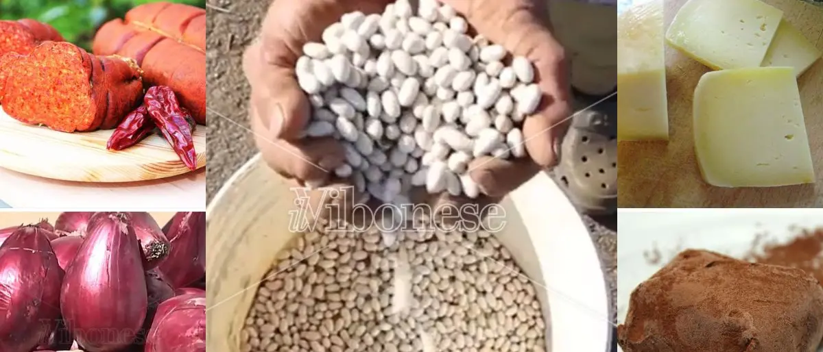 Dalla ‘nduja di Spilinga alla “sujaca” di Caria: viaggio nei prodotti simbolo del Vibonese