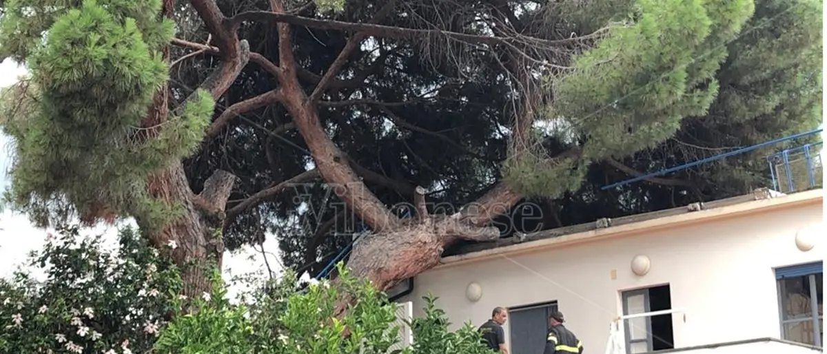 Maltempo, violento nubifragio si abbatte sul Vibonese: strade allagate e alberi divelti – Video