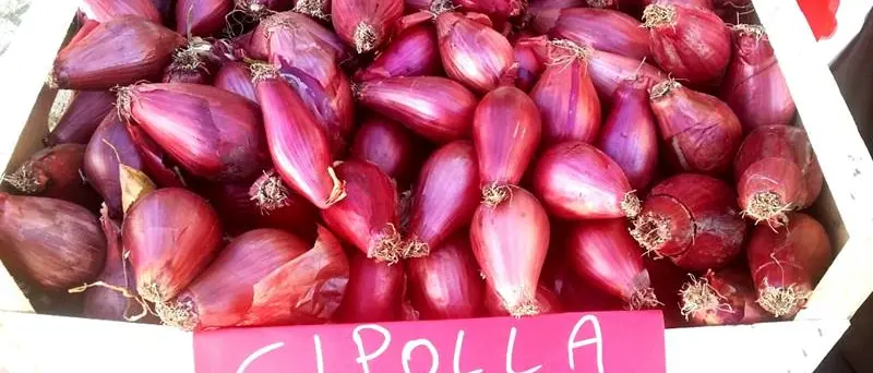 La cipolla rossa di Tropea sbarca alla 18^ edizione di Identità golose