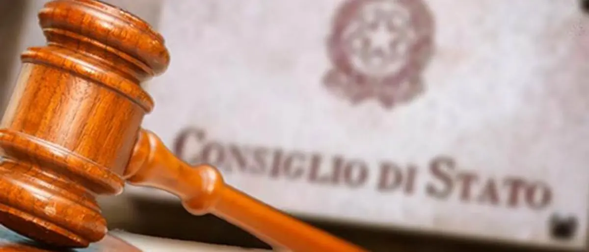 Vibo, sull'affidamento della gestione dell'asilo nido il Consiglio di Stato dà ragione al Comune