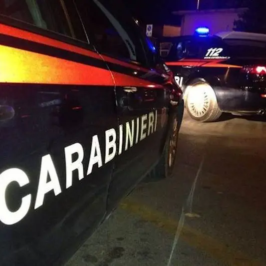 Arrestato il latitante Domenico Cracolici: era sfuggito a Rinascita Scott - VIDEO