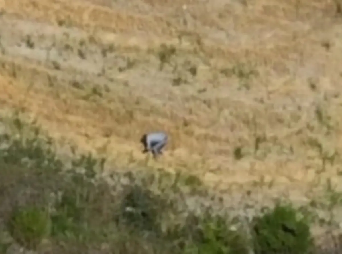 Appicca un incendio e scappa, piromane beccato da un drone che riprende tutto - Video