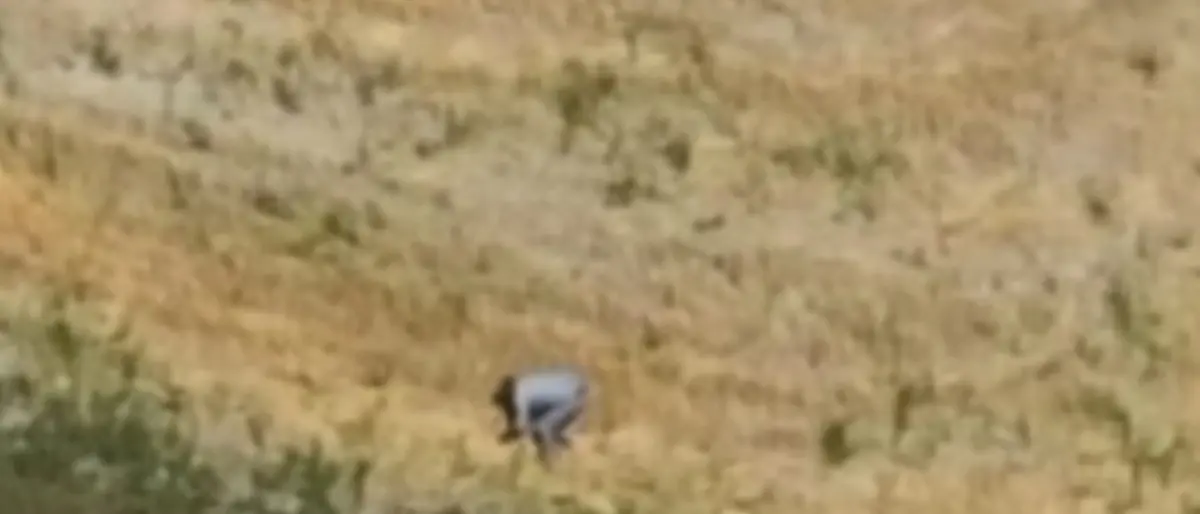 Appicca un incendio e scappa, piromane beccato da un drone che riprende tutto - Video