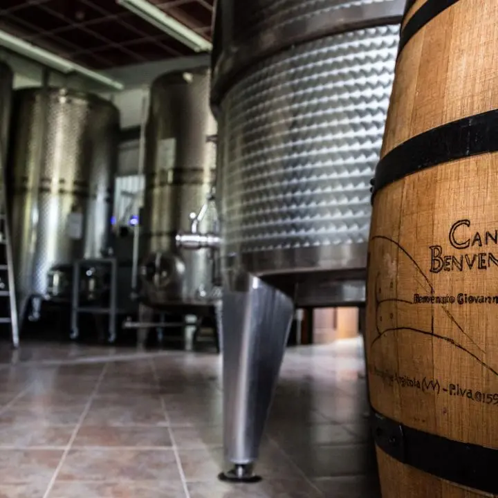 Francavilla, il vino Terra delle Cantine Benvenuto \"coronato\" dalla rivista del Touring Club
