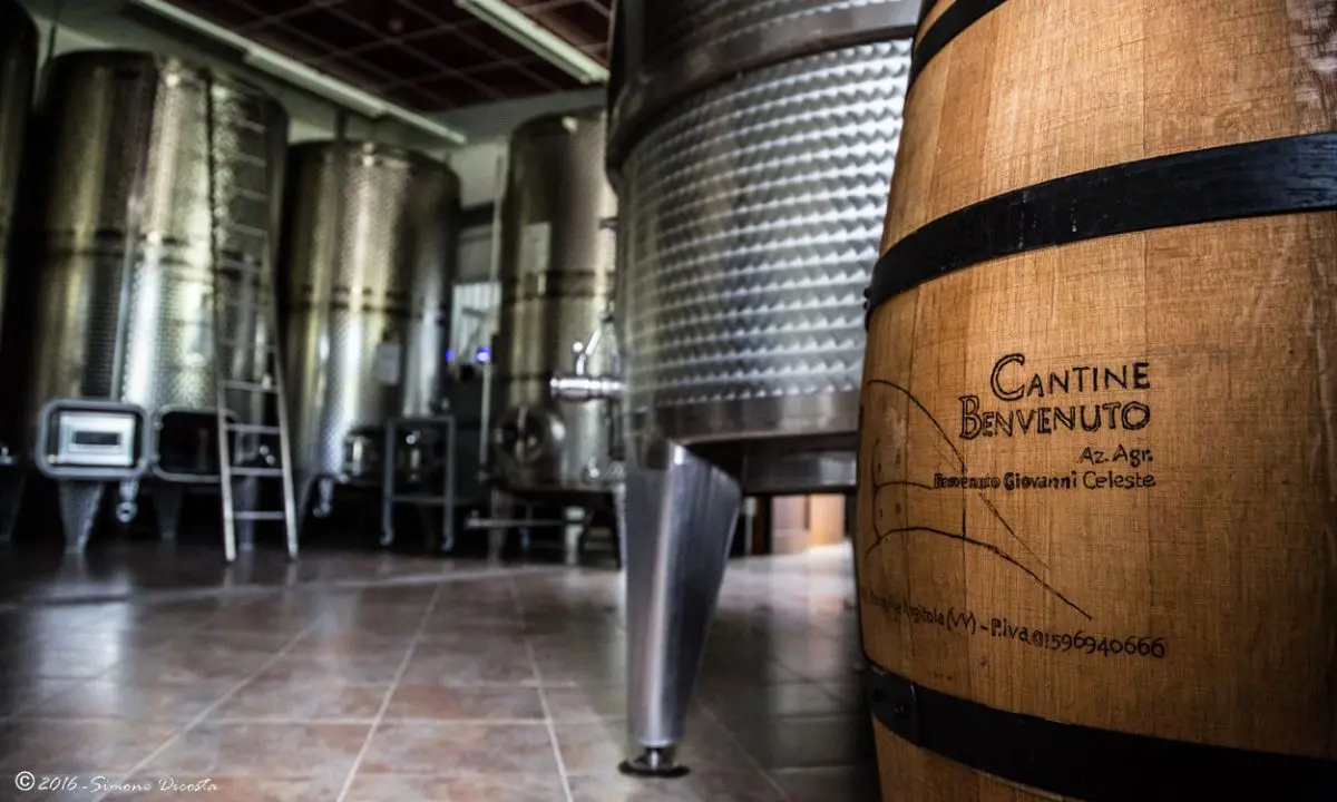 Francavilla, il vino Terra delle Cantine Benvenuto \"coronato\" dalla rivista del Touring Club