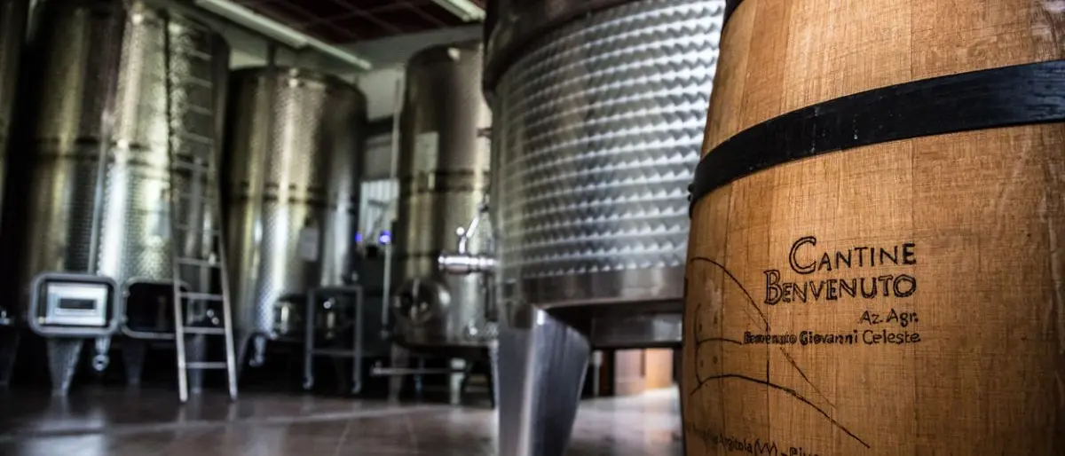 Francavilla, il vino Terra delle Cantine Benvenuto \"coronato\" dalla rivista del Touring Club