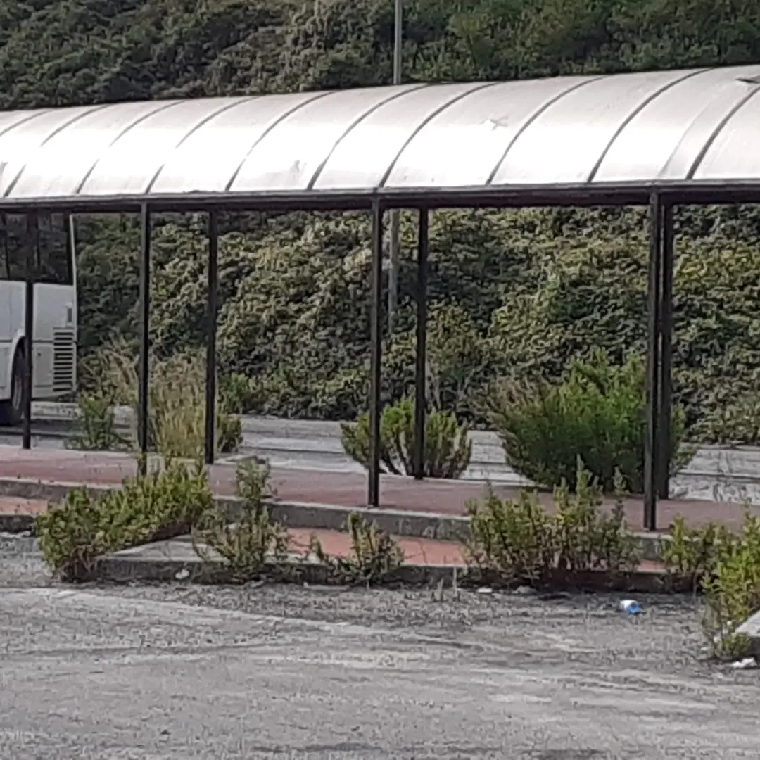 Vibo, in via degli Artigiani non solo traffico in tilt: il liceo Berto senza un’area di evacuazione perché il terminal bus è un cantiere inaccessibile\n