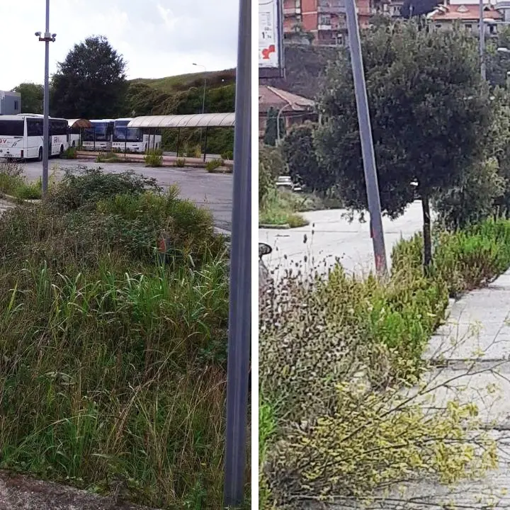 Erbacce e degrado al Terminal bus, i cittadini: «Vibo merita di più»