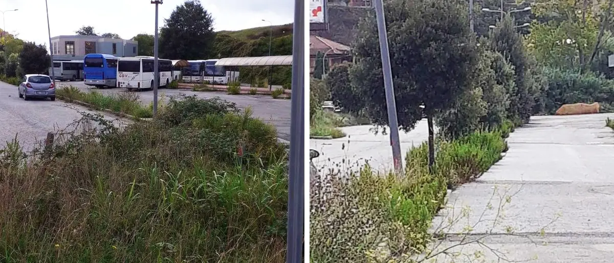 Erbacce e degrado al Terminal bus, i cittadini: «Vibo merita di più»