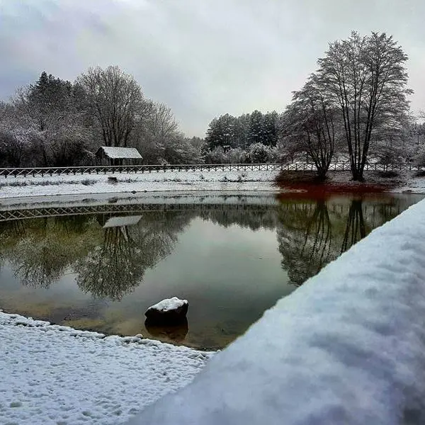 Torna la neve nelle Serre vibonesi, temperature in picchiata a Capodanno (VIDEO)