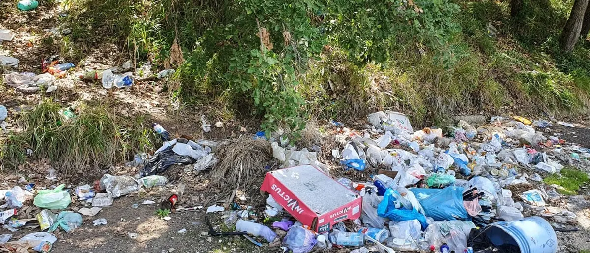 Rifiuti abbandonati per le strade di Vibo: ecco in quali arterie spetta pulire alla Provincia e perché