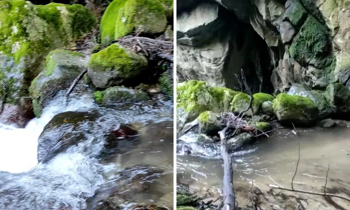 Nelle Serre vibonesi un percorso trekking sulle orme dei briganti di Calabria