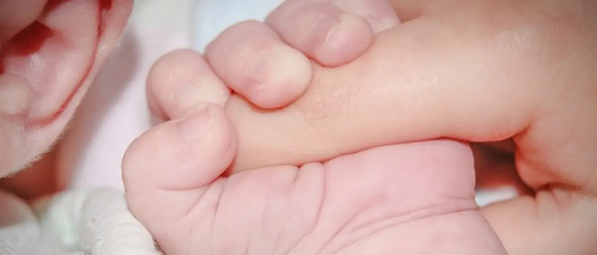 Vibo tra le province con il maggior calo di nascite in Italia: in 25 anni giù di quasi il 40%