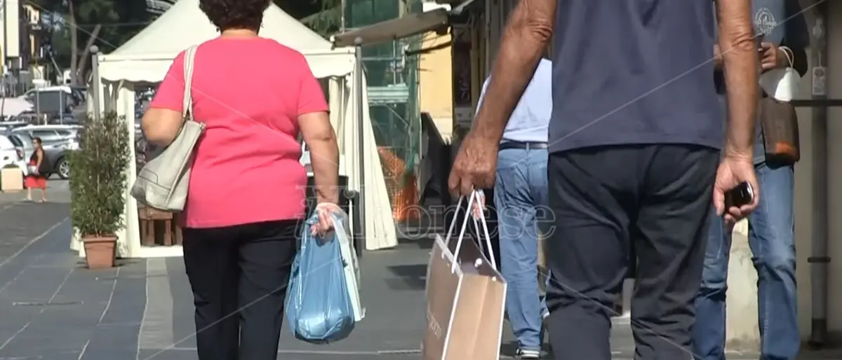 Caro bollette, il piano contro la crisi e le proposte dei vibonesi: «Si passi al fotovoltaico» -Video