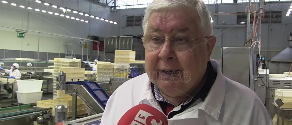 Callipo attiva la cassa integrazione e ferma la produzione per un giorno a settimana - Video