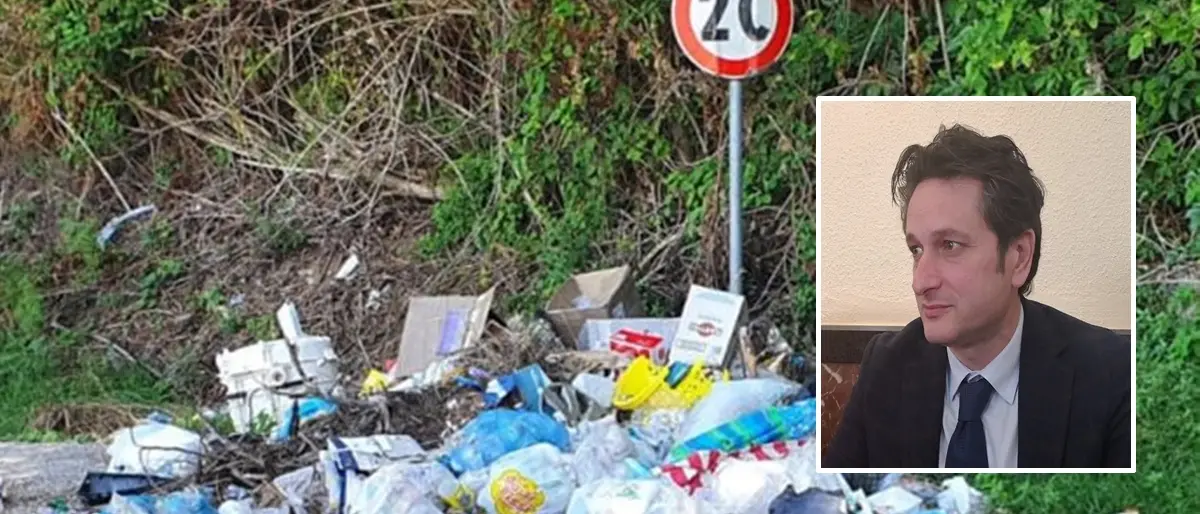 Discarica Vibo-Triparni, l’assessore Bruni richiama Solano: «Attività disattesa dalla Provincia»