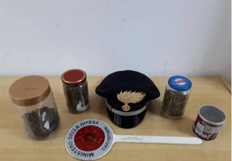 Droga in un casolare a Nardodipace, arrestato 25enne