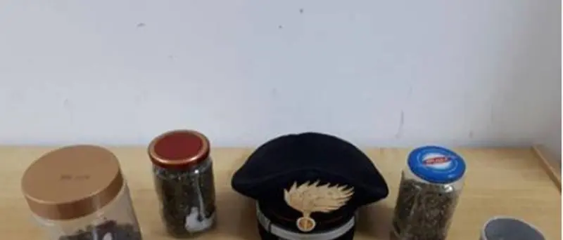 Droga in un casolare a Nardodipace, arrestato 25enne