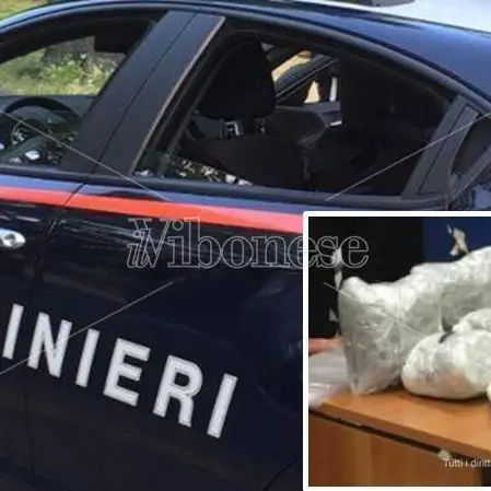 Nascondeva quasi cinque chili di marijuana dentro dei bidoni, arrestato 23enne di Briatico (VIDEO)