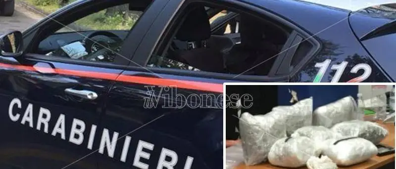 Nascondeva quasi cinque chili di marijuana dentro dei bidoni, arrestato 23enne di Briatico (VIDEO)