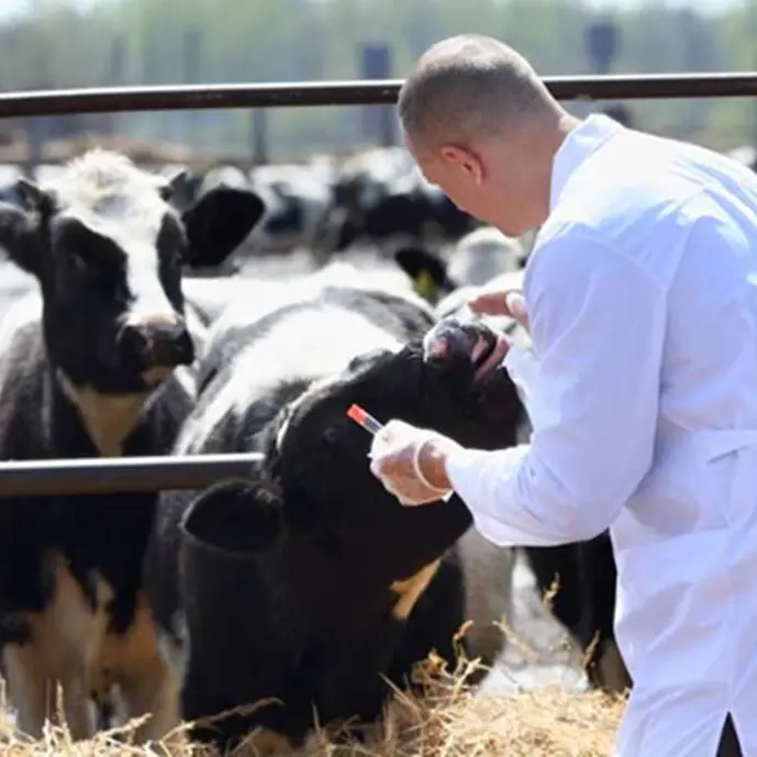 Allevamenti: nel Vibonese ritardi «significativi» sui rientri dei focolai e sul controllo anagrafico