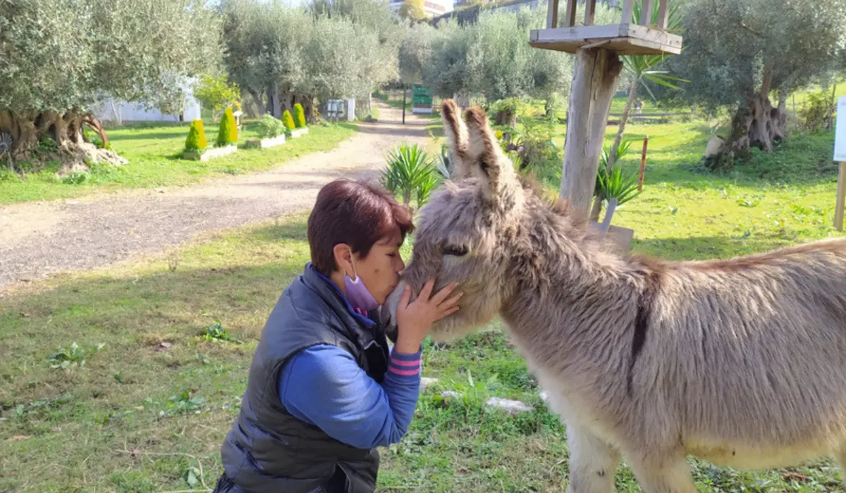 La Pet therapy per favorire i percorsi riabilitativi: a Vibo l'incontro nazionale