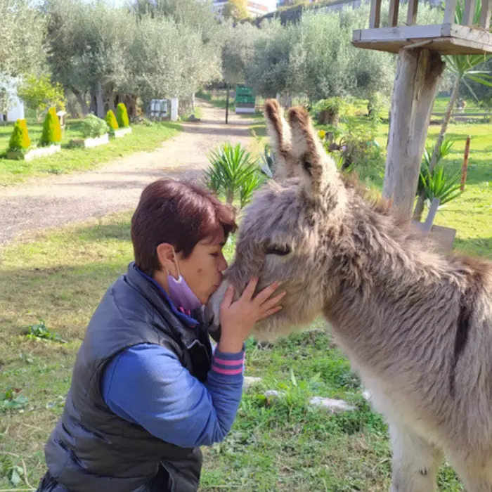 La Pet therapy per favorire i percorsi riabilitativi: a Vibo l'incontro nazionale