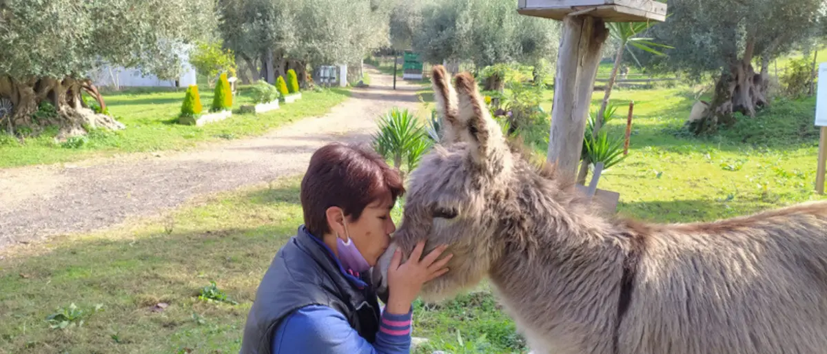 La Pet therapy per favorire i percorsi riabilitativi: a Vibo l'incontro nazionale