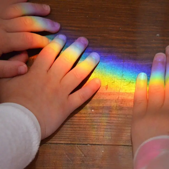 Autismo, a Vibo 5 giorni di formazione con l'esperta internazionale Francesca degli Espinosa