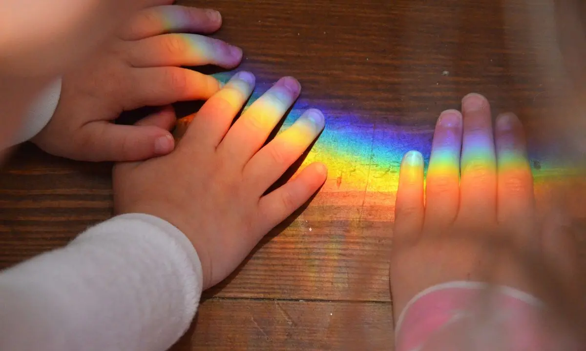 Autismo, a Vibo 5 giorni di formazione con l'esperta internazionale Francesca degli Espinosa