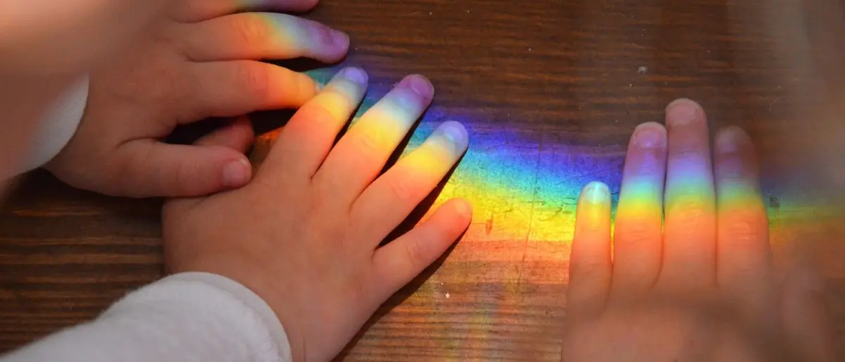 Vibo, la Camera minorile rinnova il direttivo: La Scala eletto presidente