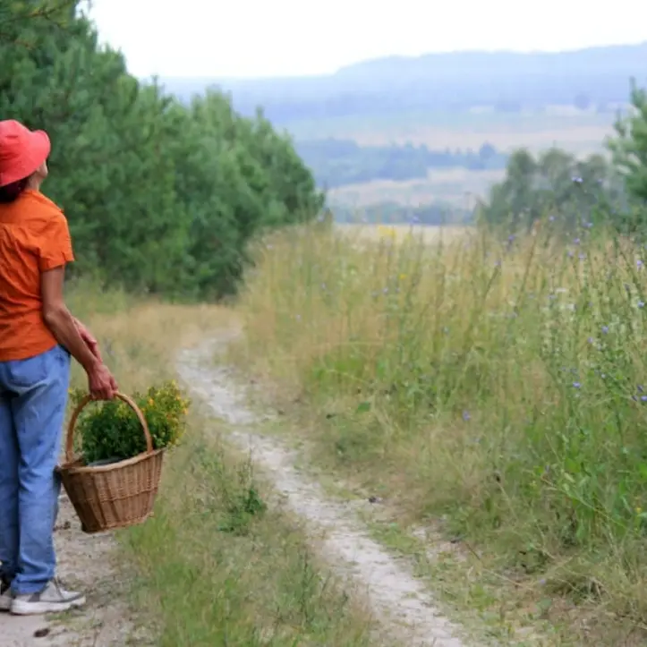 Impianto Murria, il sindaco di Briatico: «Agricoltori in difficoltà, a rischio le produzioni locali»