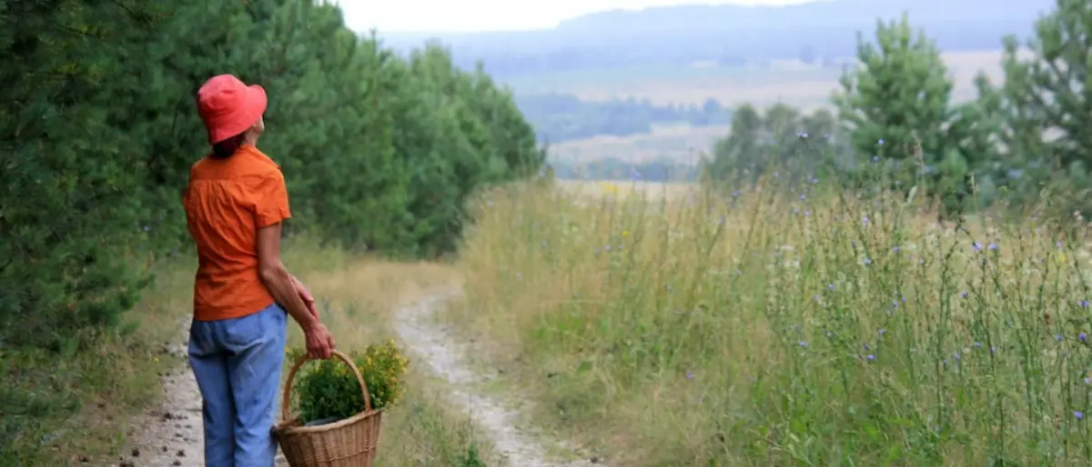 Impianto Murria, il sindaco di Briatico: «Agricoltori in difficoltà, a rischio le produzioni locali»