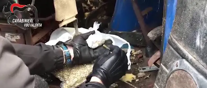 Droga e munizioni a Filandari, arrestato 27enne (VIDEO)