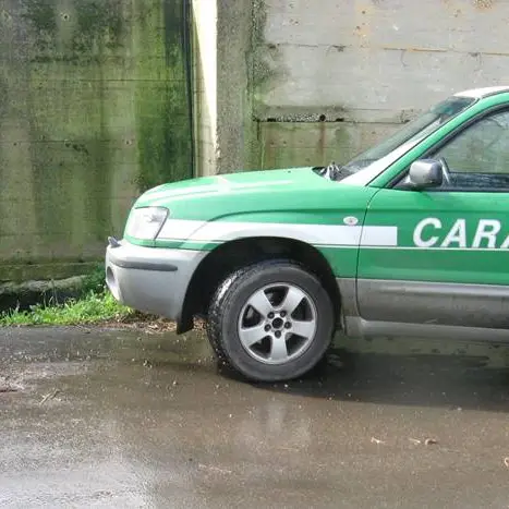 Nardodipace, contaminazione fecale dell’acqua di località Carcara: scatta il sequestro e l’ordinanza di divieto
