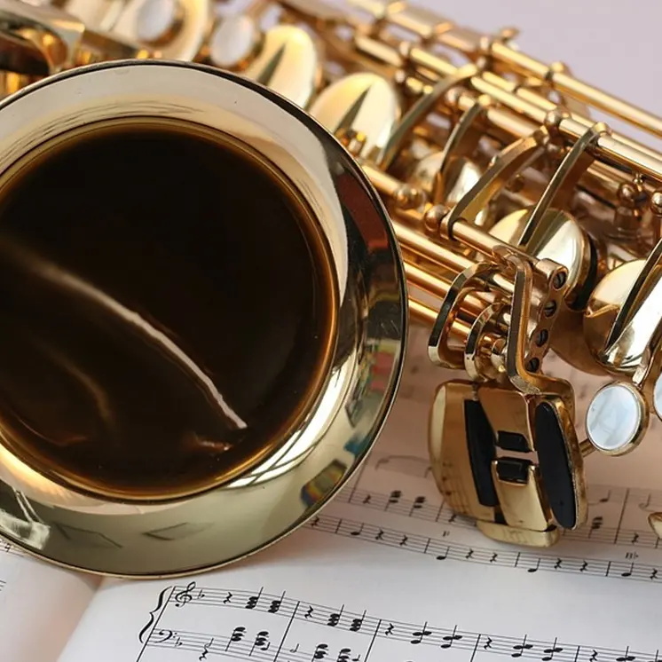 Gemellaggio musicale tra Pizzo e Comiso: studenti calabresi e siciliani insieme in concerto