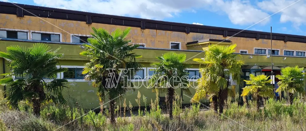 Piscina di Vibo, Soriano (Pd) insiste: «Si pubblichino i bandi per lavori e gestione». Petizione sul web