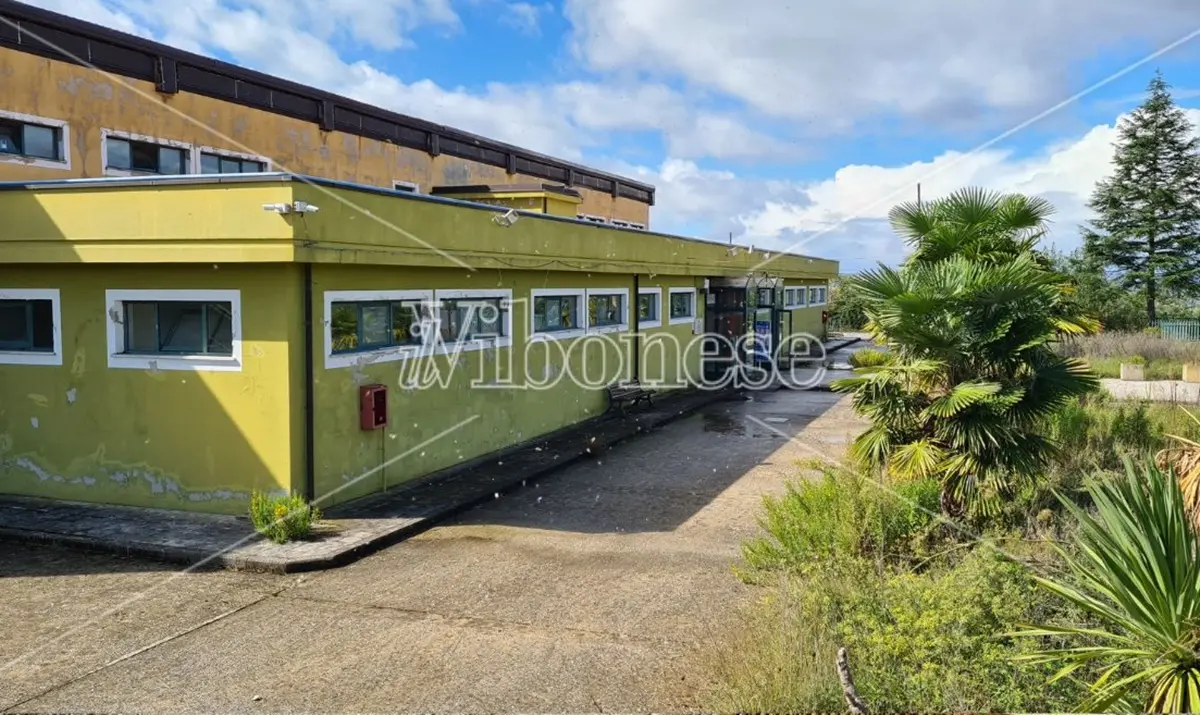 Impianti sportivi, l'assessore Soriano fa il punto: «Per la piscina completeremo i lavori in un anno. In programma l'affidamento dello stadio Luigi Razza»