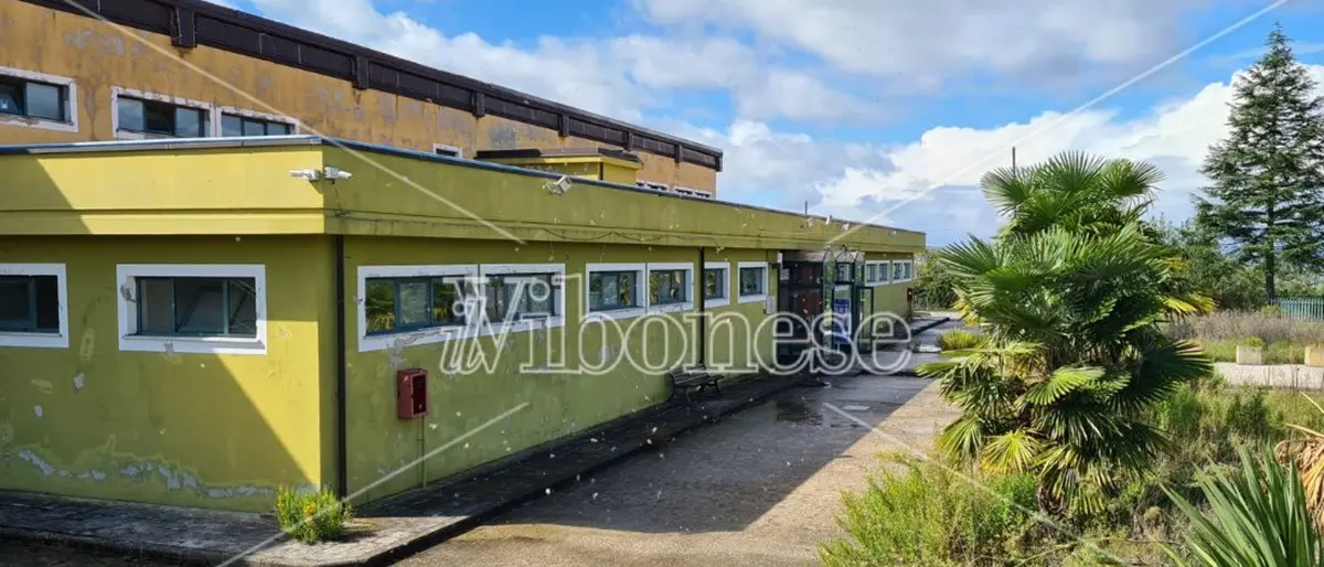 Impianti sportivi, l'assessore Soriano fa il punto: «Per la piscina completeremo i lavori in un anno. In programma l'affidamento dello stadio Luigi Razza»