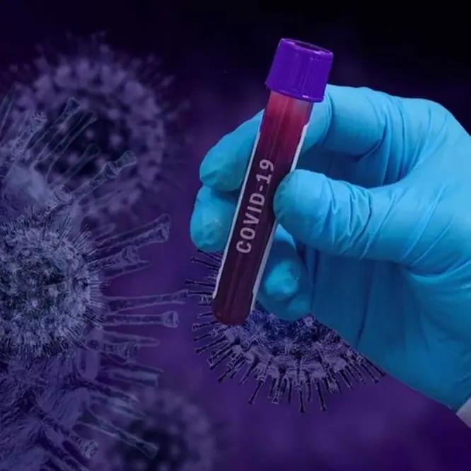 Contagi in risalita, la virologa Capua: «Il virus è ancora “gioiosamente” tra noi»