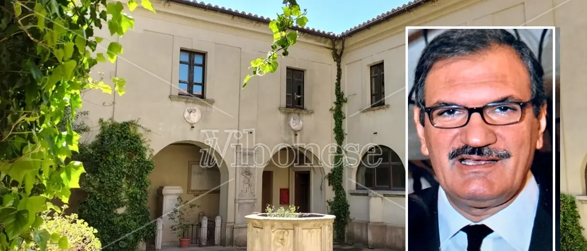 Sistema bibliotecario vibonese, Enzo Romeo: «Dovere etico scongiurarne la chiusura»