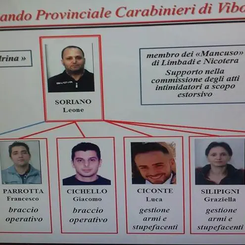 ‘Ndrangheta: processo Nemea, la deposizione dell’imprenditore Castagna