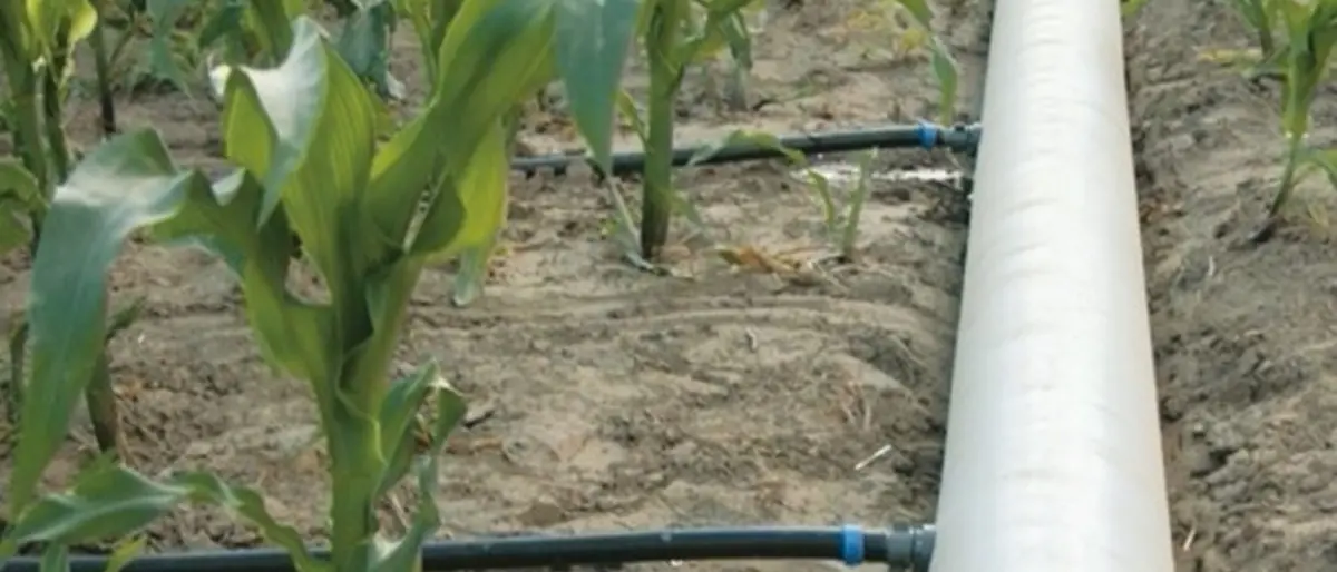 Pnrr e sistemi di irrigazione agricola: alla Calabria il 27% dei fondi nazionali previsti