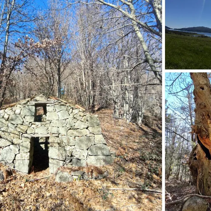 Escursione sul monte Trematerra, viaggio tra castagneti secolari e antichi “pastillari”